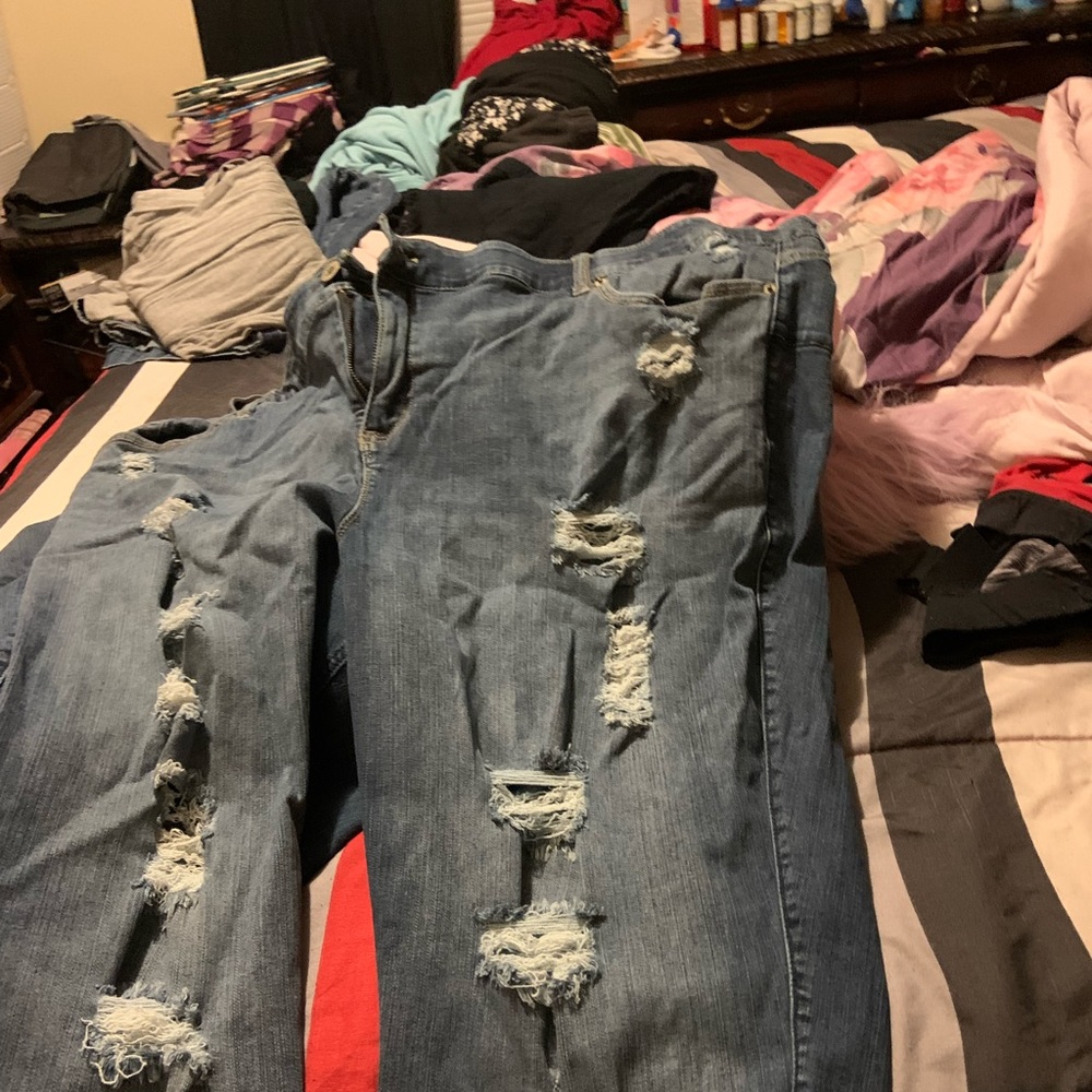 Women’s Torricelli jeans